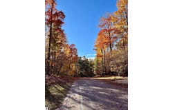 2215 ROBINSON RIDGE, BELLAIRE, MI 49615