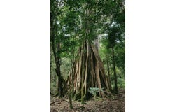 Volcan, Chiriqui,