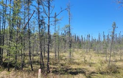 ON CTH G, Eagle River, WI 54521