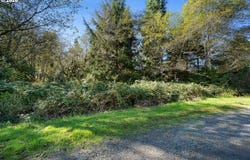 Rock Creek RD, RockawayBeach, OR 97136