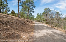 Twin Tree Loop lot: 19, Alto, NM 88312
