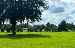 NW 464B Highway, MORRISTON, FL 32668