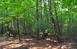 Highland Laurel Lane, Deep Gap, NC 28618
