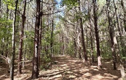 2 Dry Creek Road, Magee, MS 39111