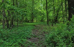 1235 Twp Rd 353, POLK, OH 44866
