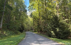 14 Fern Trail, Waynesville, NC 28786