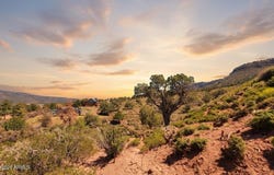 55 FOXTAIL Circle, Pine, AZ 85544