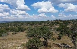 Other, Bandera, TX 78006