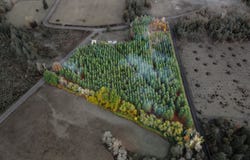 Frost Rd, Dallas, OR 97338