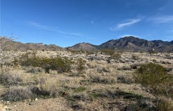 316-03-249 JUNE Road, Dolan Springs, AZ 86441