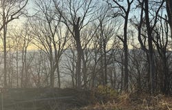 HIGH KNOB, OLD FIELDS, WV 26845