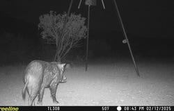 Hwy 349S, Sanderson, TX 79848