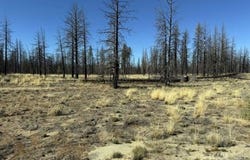 Mahogany Ln, Beatty, OR 97621