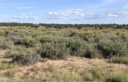 N 6543, St. Johns, AZ 85936