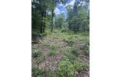 4650 Edgemont Road, Quitman, AR 72131
