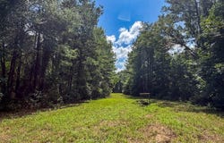 1025 Co Rd 83, Burnsville, AL 36703