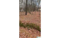 124 Shawnee Trail, Penn Forest Twp, PA 18210