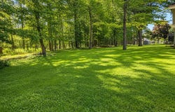 449 MAPLE Lane, COLEMAN, WI 54112