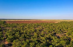 FM 2279, Rochester, TX 79544