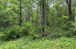 Straw Hill Road, Barton, NY 13734