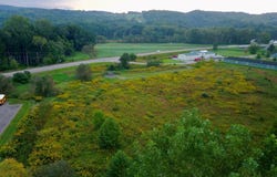 Raymond St, NY 14865
