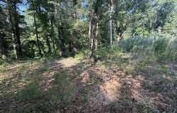 Spring St, Newton, AL 36352