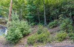 101 Chipmunk Lane, Beech Mountain, NC 28604
