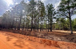 Simmons Road, Mauk, GA 31058