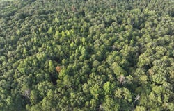 Coogle Road, Oglethorpe, GA 31068