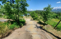 52861 Cedar Drive, Oakhurst, CA 93644