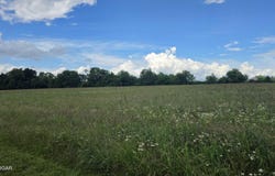 S Ali Cat Drive, Carthage, MO 64836