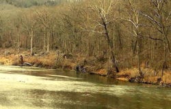 1963 State Route Pp, Tecumseh, MO 65760