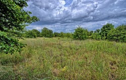 Indian School Road, Bowie, TX 76230