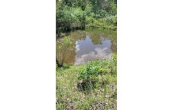 10349 Madison 3605, Kingston, AR 72742