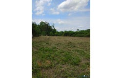 New Grove Road, Kenbridge, VA 23944