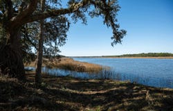 1939 Mauricena Rd., Georgetown, SC 29440