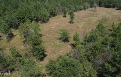 Mississippi 44, Columbia, MS 39429