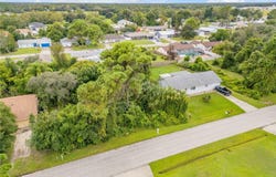 UMBRELLA TREE Drive, EDGEWATER, FL 32132