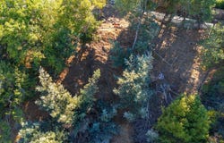 10 E Laverne Avenue, Mill Valley, CA 94941