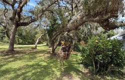 1077 SE 170TH Court, SILVER SPRINGS, FL 34488