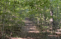 Conner Rd, Powell, TN 37849