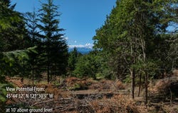 Riggleman Ln, WhiteSalmon, WA 98672