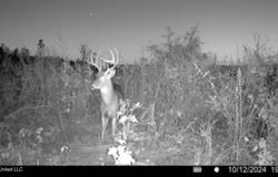 Ms-25, Brandon, MS 39047