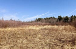 Bailey Road lot: 56, Knox, ME 04986