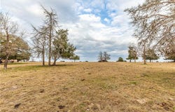 Tract 2 Wiese Rd, BELLVILLE, TX 77418