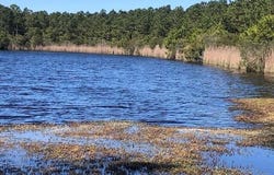 123 E Dowry Creek E lot: 85, Belhaven, NC 27810