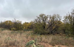 Jefferson St, Loraine, TX 79532