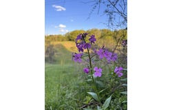 537 Fair St, Ronceverte, WV 24970