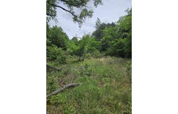 18095 CR 352, Winona, TX 75792