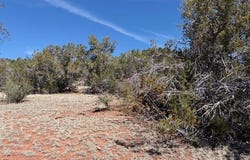 159 Circle Drive, Seligman, AZ 86337